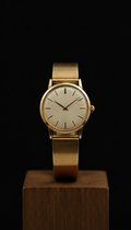 Montre acier brossé inspiration vintage